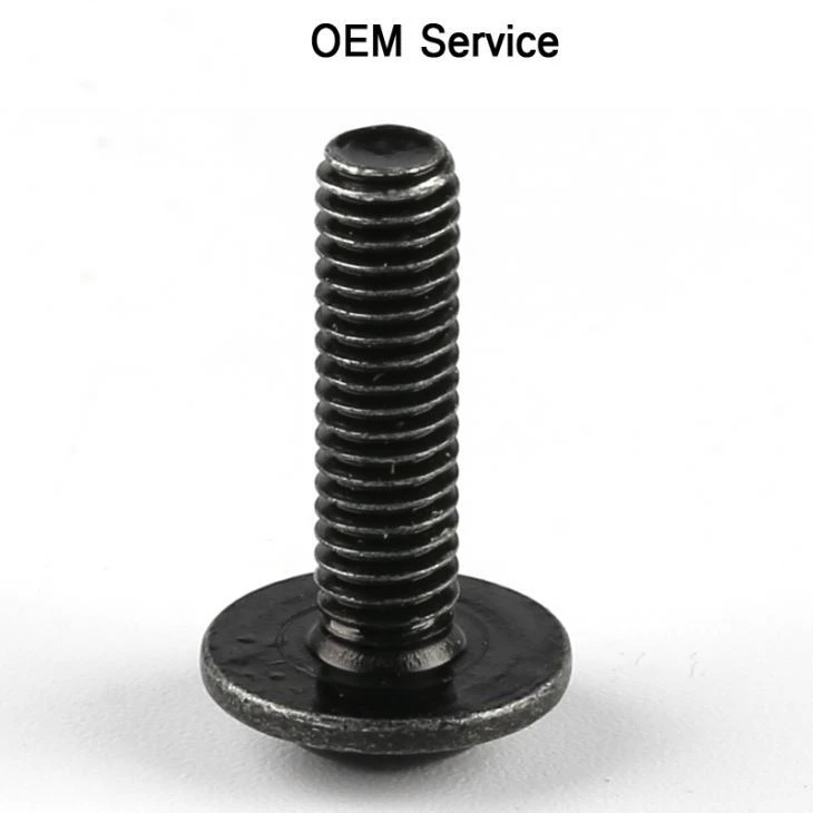 Steel Pan Head Phillips Screw