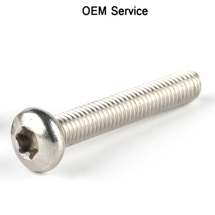 Hlau Oval Lub Taub Hau Torx Screws